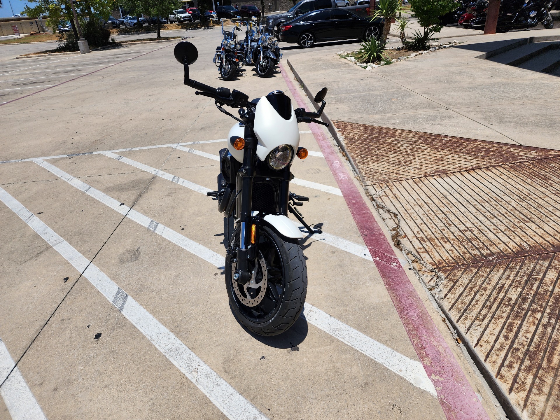 2018 Harley-Davidson Street Rod® in San Antonio, Texas - Photo 3