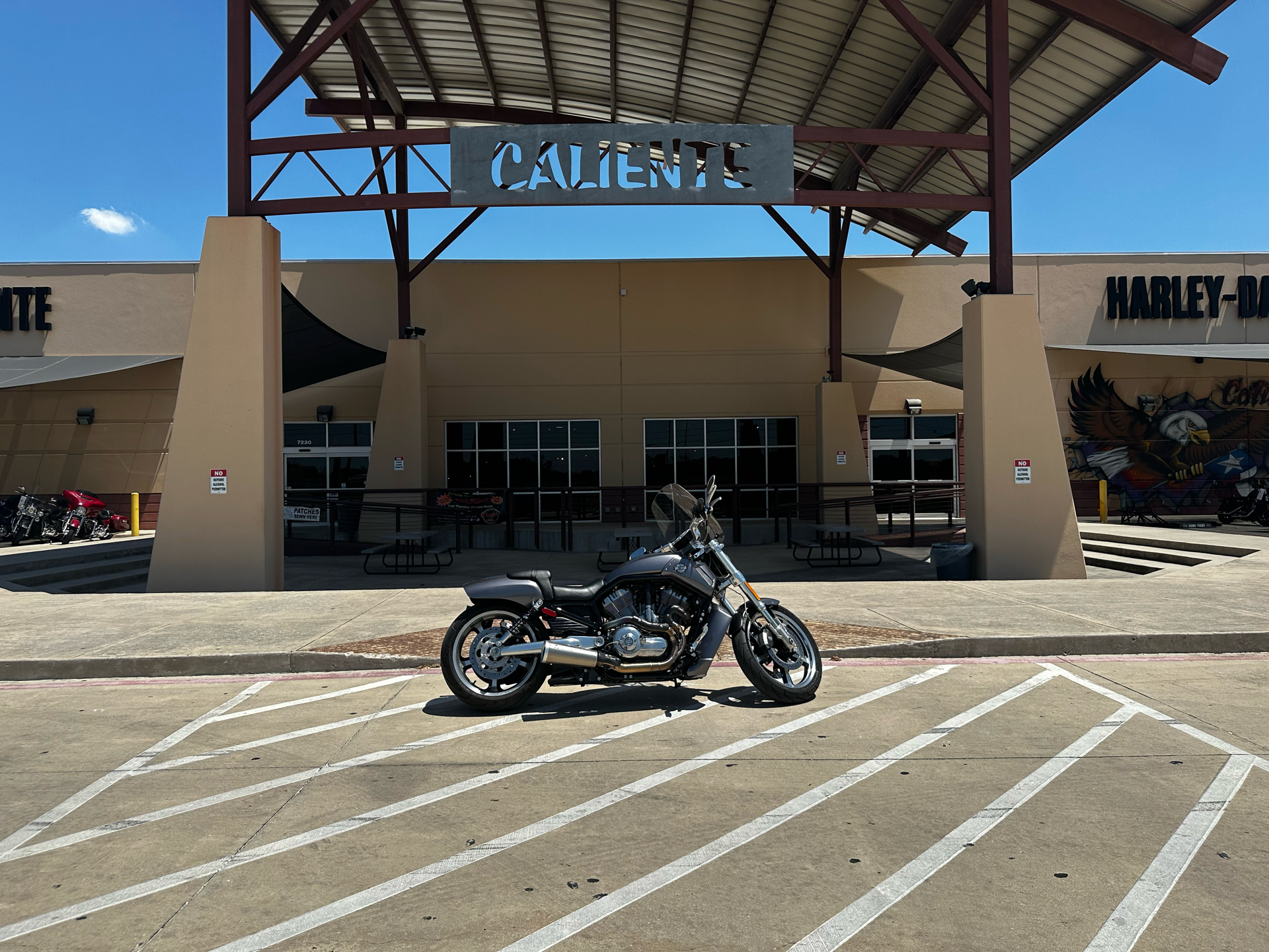 2014 Harley-Davidson V-Rod Muscle® in San Antonio, Texas - Photo 1