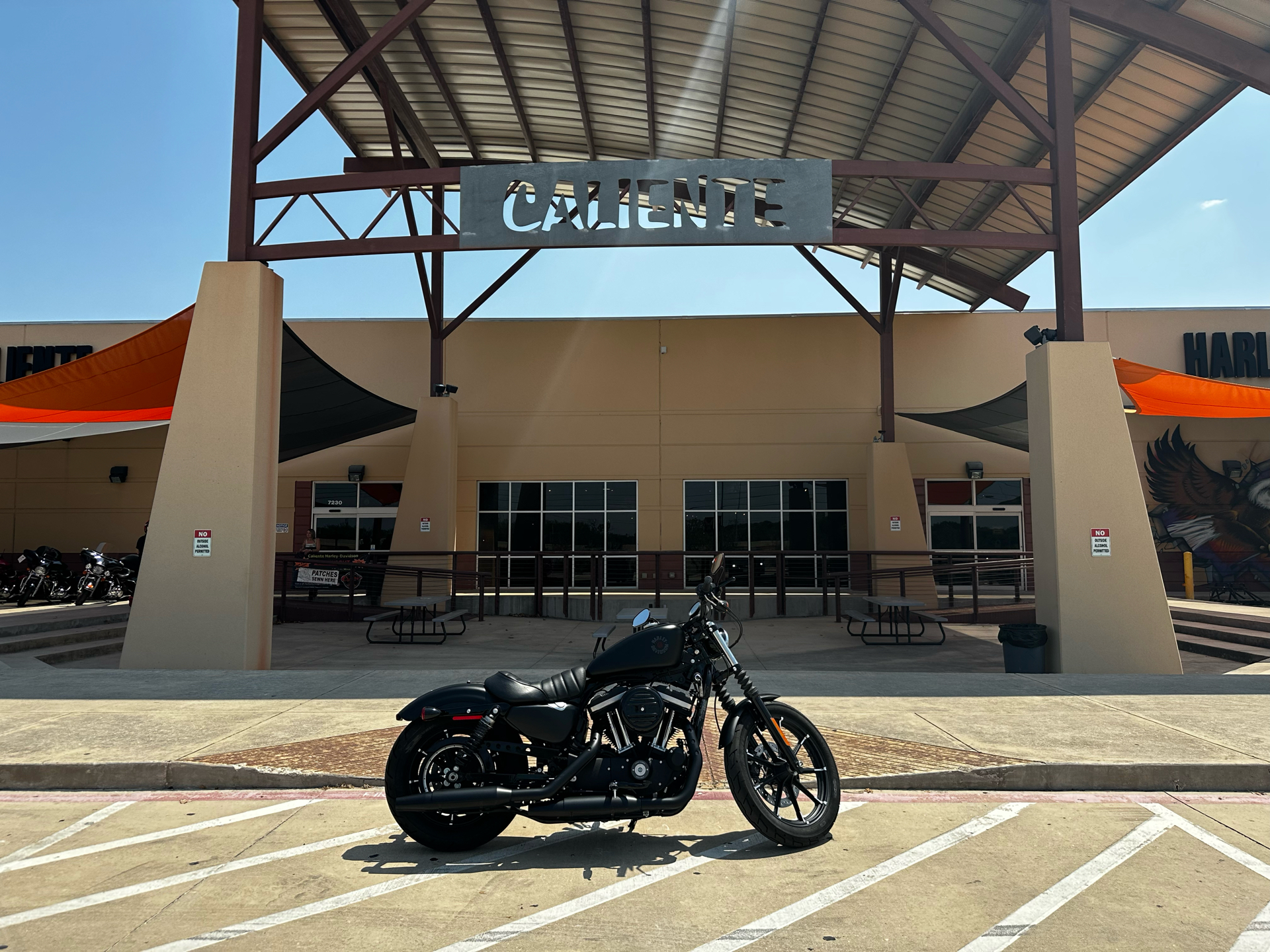 2022 Harley-Davidson Iron 883™ in San Antonio, Texas - Photo 1