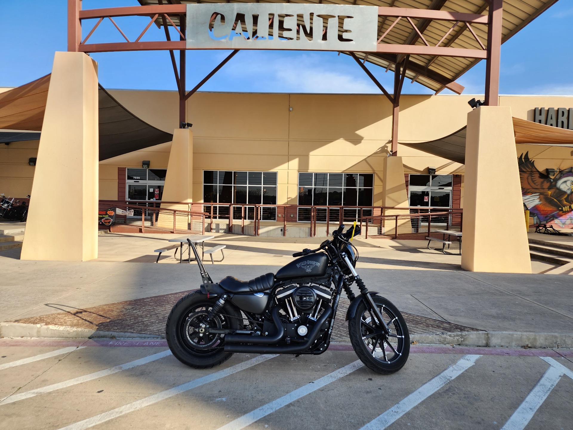 2016 Harley-Davidson Iron 883™ in San Antonio, Texas - Photo 1