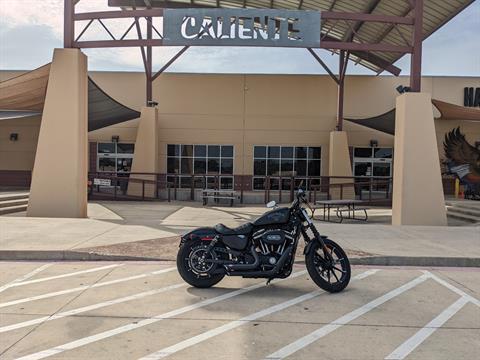 2016 Harley-Davidson Iron 883™ in San Antonio, Texas - Photo 1