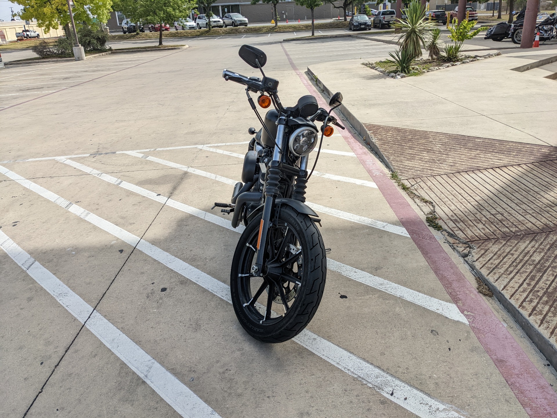 2016 Harley-Davidson Iron 883™ in San Antonio, Texas - Photo 3