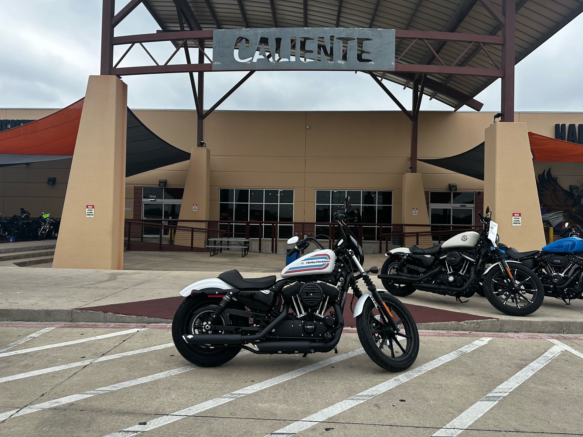 2021 Harley-Davidson Iron 1200™ in San Antonio, Texas - Photo 1