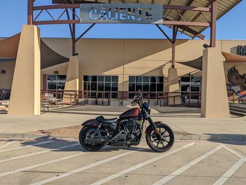 2019 Harley-Davidson Iron 1200™ in San Antonio, Texas - Photo 1