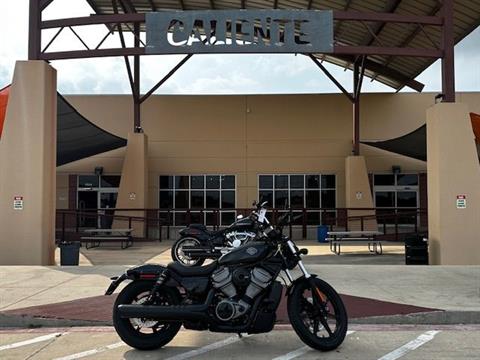 2024 Harley-Davidson Nightster® in San Antonio, Texas - Photo 1