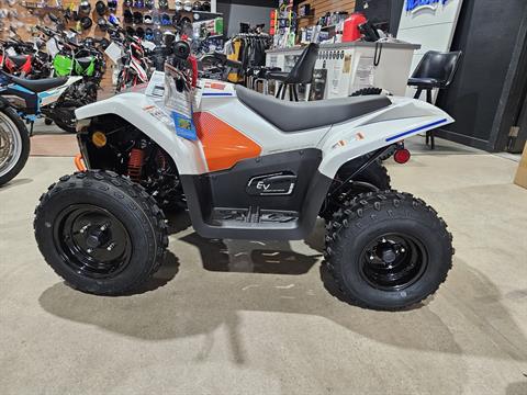 2024 CFMOTO CForce EV110 in Sioux City, Iowa - Photo 6