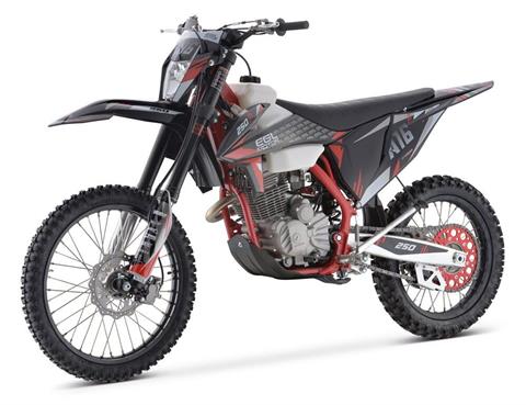 2022 AWL A16 PRO 250cc in Jacksonville, Florida - Photo 1
