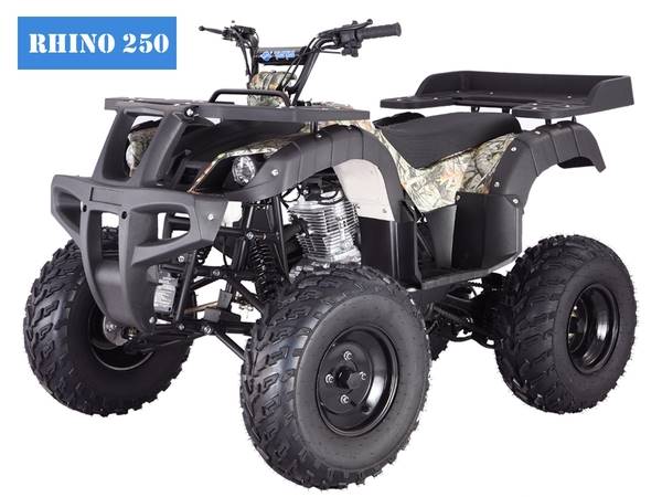 2017 Tao Motor 250CC Full Size With reverse in Jacksonville, Florida