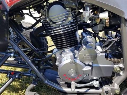 2022 AWL Pentora 250cc in Jacksonville, Florida - Photo 4