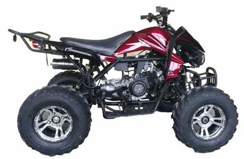 2022 Bintelli 200cc Raptor ATV in Jacksonville, Florida - Photo 3