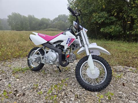 2025 Honda CRF50F in Marietta, Ohio