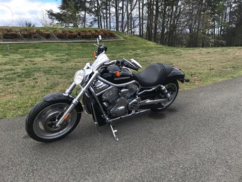 2007 Harley-Davidson VRSCD Night Rod™ in Morristown, Tennessee - Photo 6