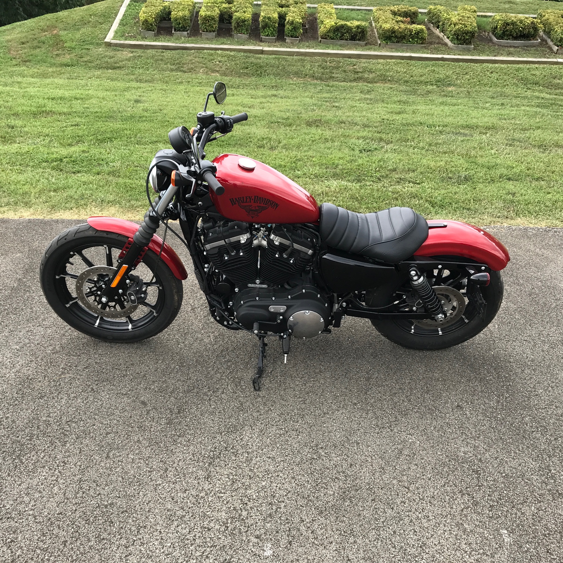 2018 Harley-Davidson IRON 883 in Morristown, Tennessee - Photo 1