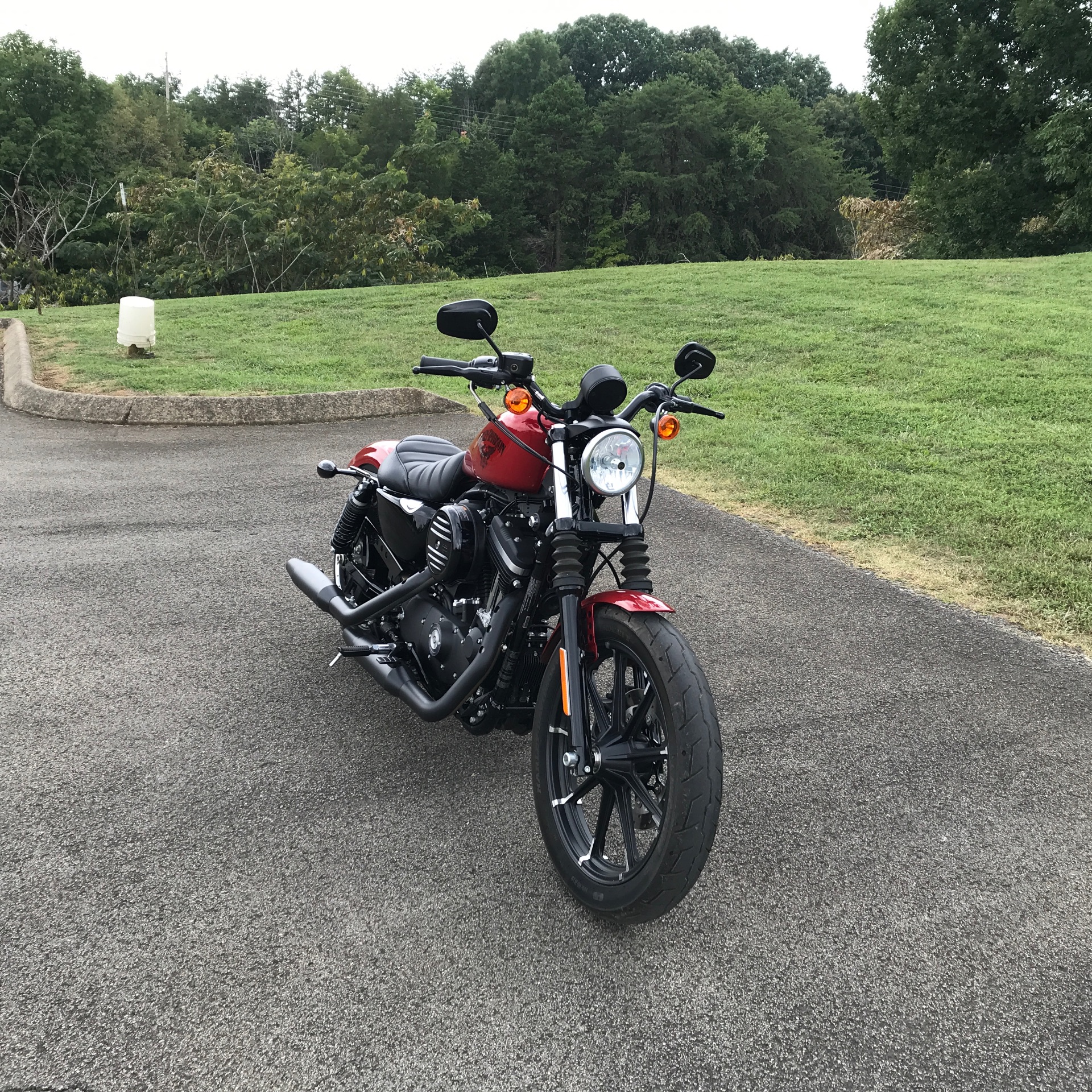 2018 Harley-Davidson IRON 883 in Morristown, Tennessee - Photo 3