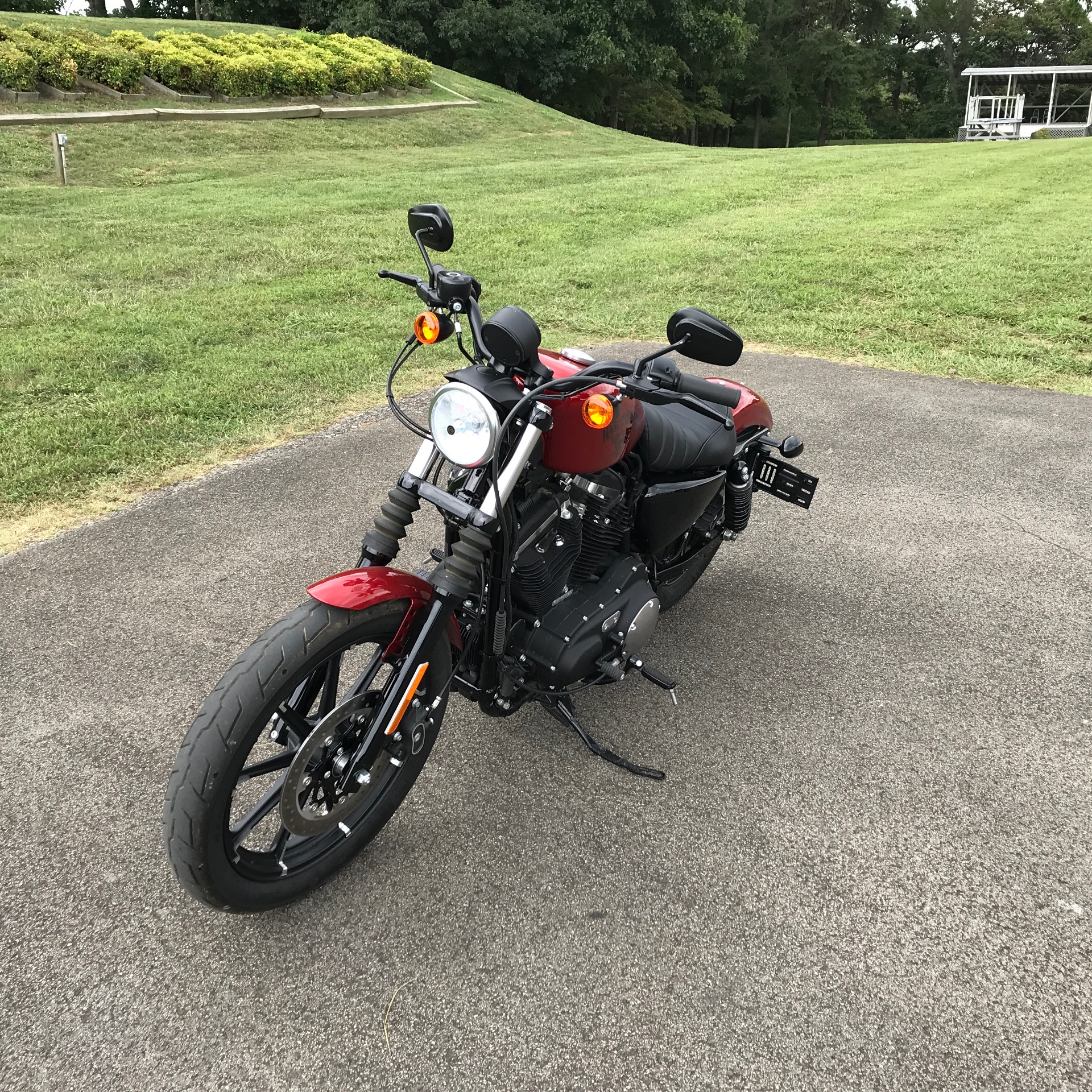 2018 Harley-Davidson IRON 883 in Morristown, Tennessee - Photo 6