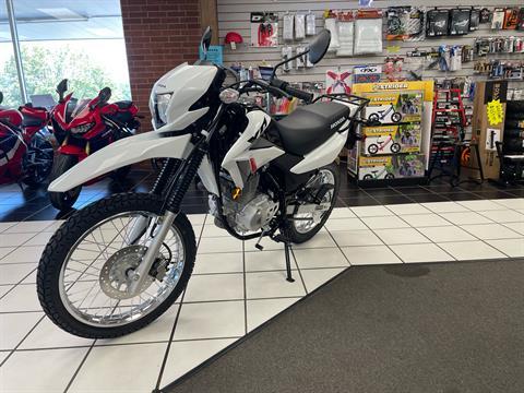 2024 Honda XR150L in Oklahoma City, Oklahoma - Photo 3