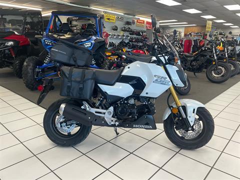 2025 Honda Grom in Oklahoma City, Oklahoma - Photo 1