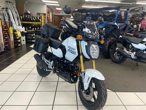 2025 Honda Grom in Oklahoma City, Oklahoma - Photo 2