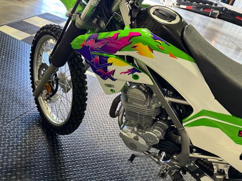 2020 Kawasaki KLX 230 in Utica, New York - Photo 18