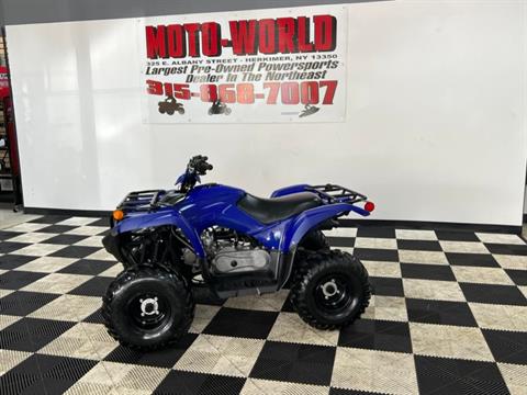 2019 Yamaha Grizzly 90 in Herkimer, New York - Photo 1