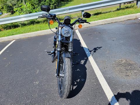 2022 Harley-Davidson Iron 883 in Roanoke, Virginia - Photo 6
