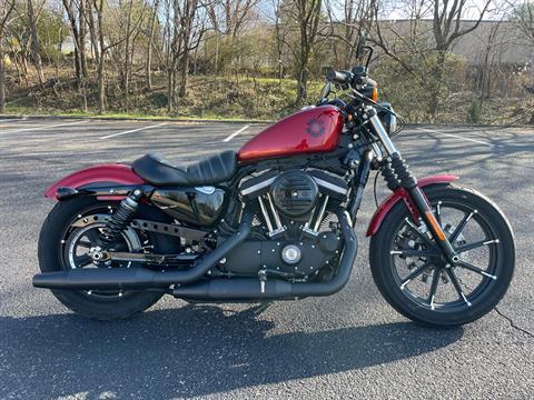2019 Harley-Davidson Iron 883 in Roanoke, Virginia - Photo 1