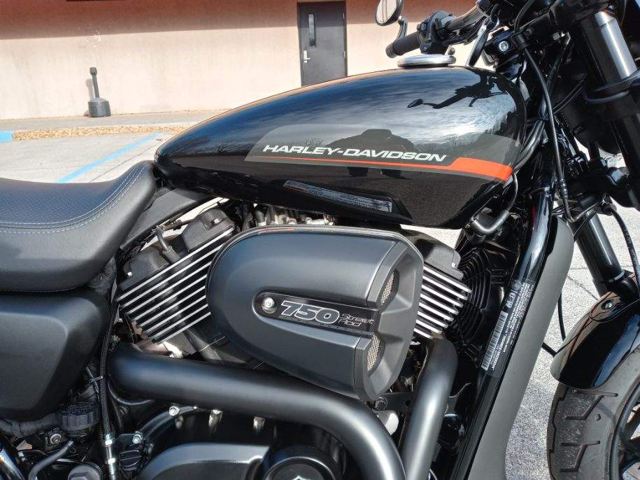 2019 Harley-Davidson Street Rod 750 in Roanoke, Virginia - Photo 7