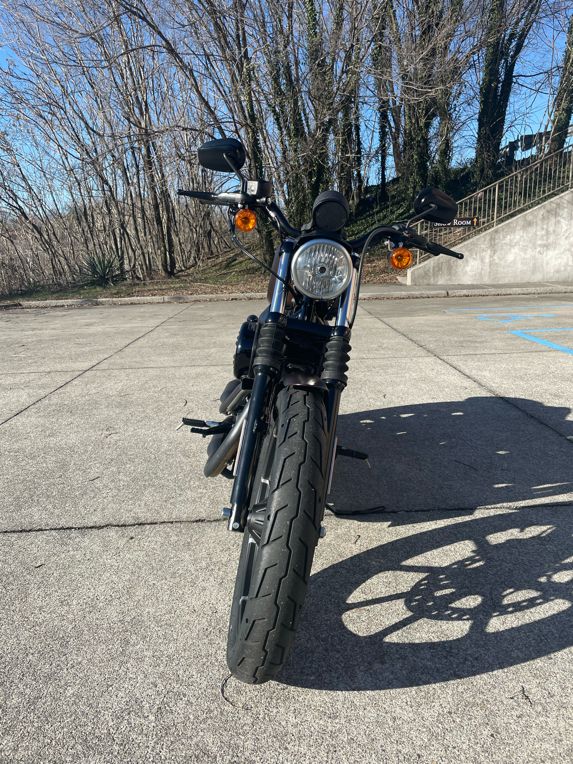2019 Harley-Davidson 883 Iron in Roanoke, Virginia - Photo 3