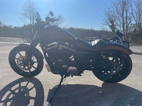 2019 Harley-Davidson 883 Iron in Roanoke, Virginia - Photo 5