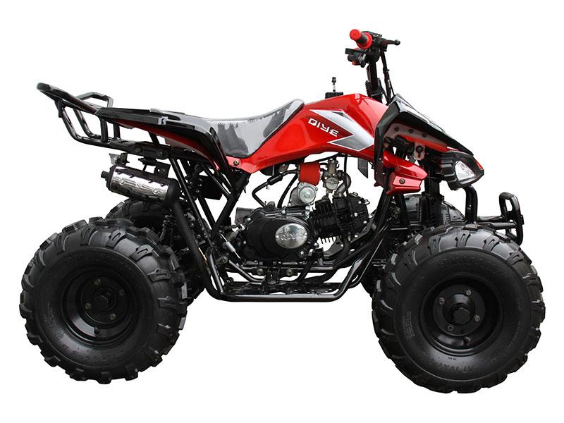 2020 Coolster ATV-3125CX-2 in Knoxville, Tennessee - Photo 1