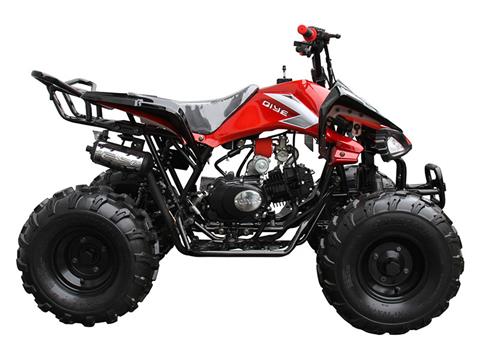 2020 Coolster ATV-3125CX-2 in Knoxville, Tennessee - Photo 1