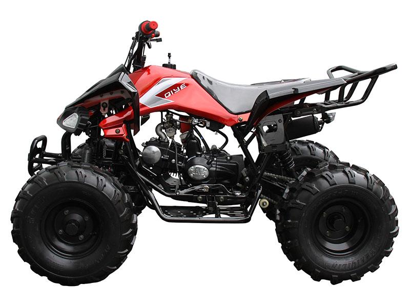 2020 Coolster ATV-3125CX-2 in Knoxville, Tennessee - Photo 2