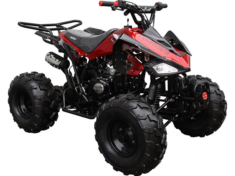 2020 Coolster ATV-3125CX-2 in Knoxville, Tennessee - Photo 3