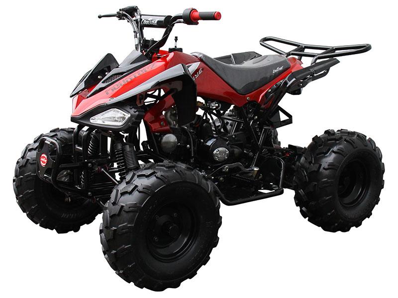 2020 Coolster ATV-3125CX-2 in Knoxville, Tennessee - Photo 4