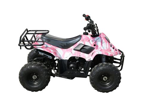 2019 Coolster ATV-3050C in Knoxville, Tennessee