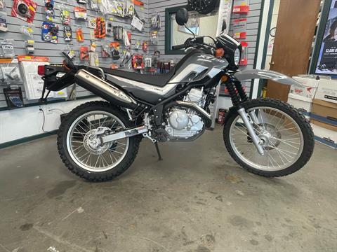 2025 Yamaha XT250 in Gunnison, Colorado - Photo 1