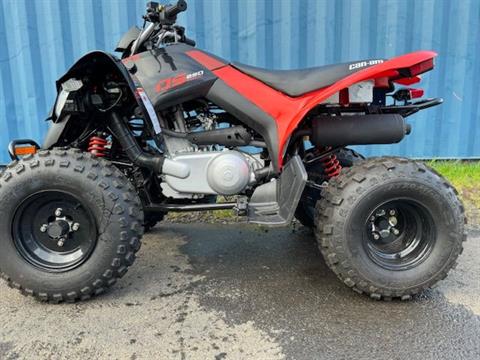 2023 Can-Am DS 250 in Warrenton, Oregon - Photo 1