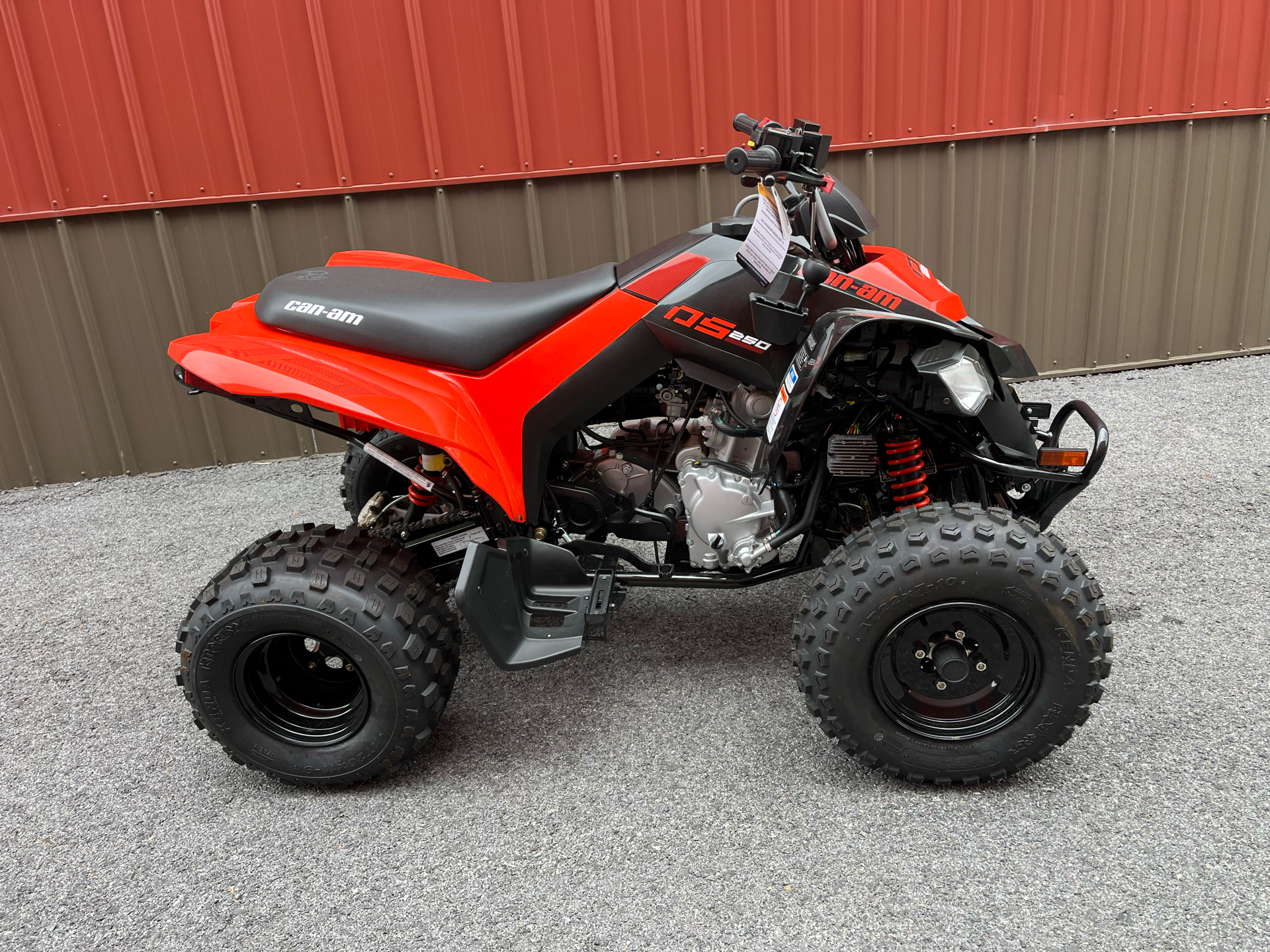 2024 Can-Am DS 250 in Tyrone, Pennsylvania - Photo 2
