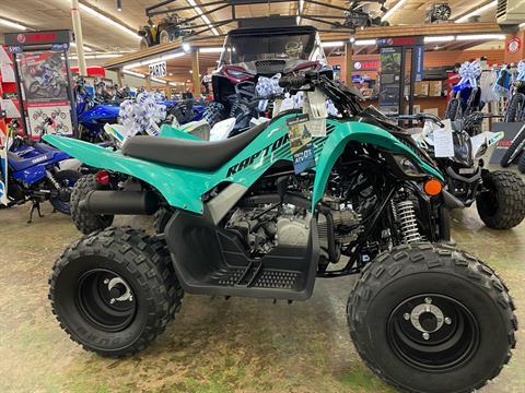 2024 Yamaha Raptor 110 in Tyrone, Pennsylvania - Photo 1