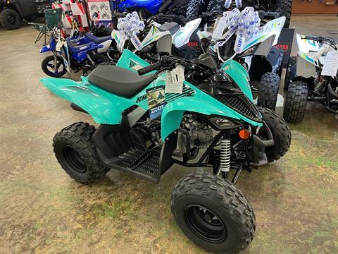 2024 Yamaha Raptor 110 in Tyrone, Pennsylvania - Photo 2