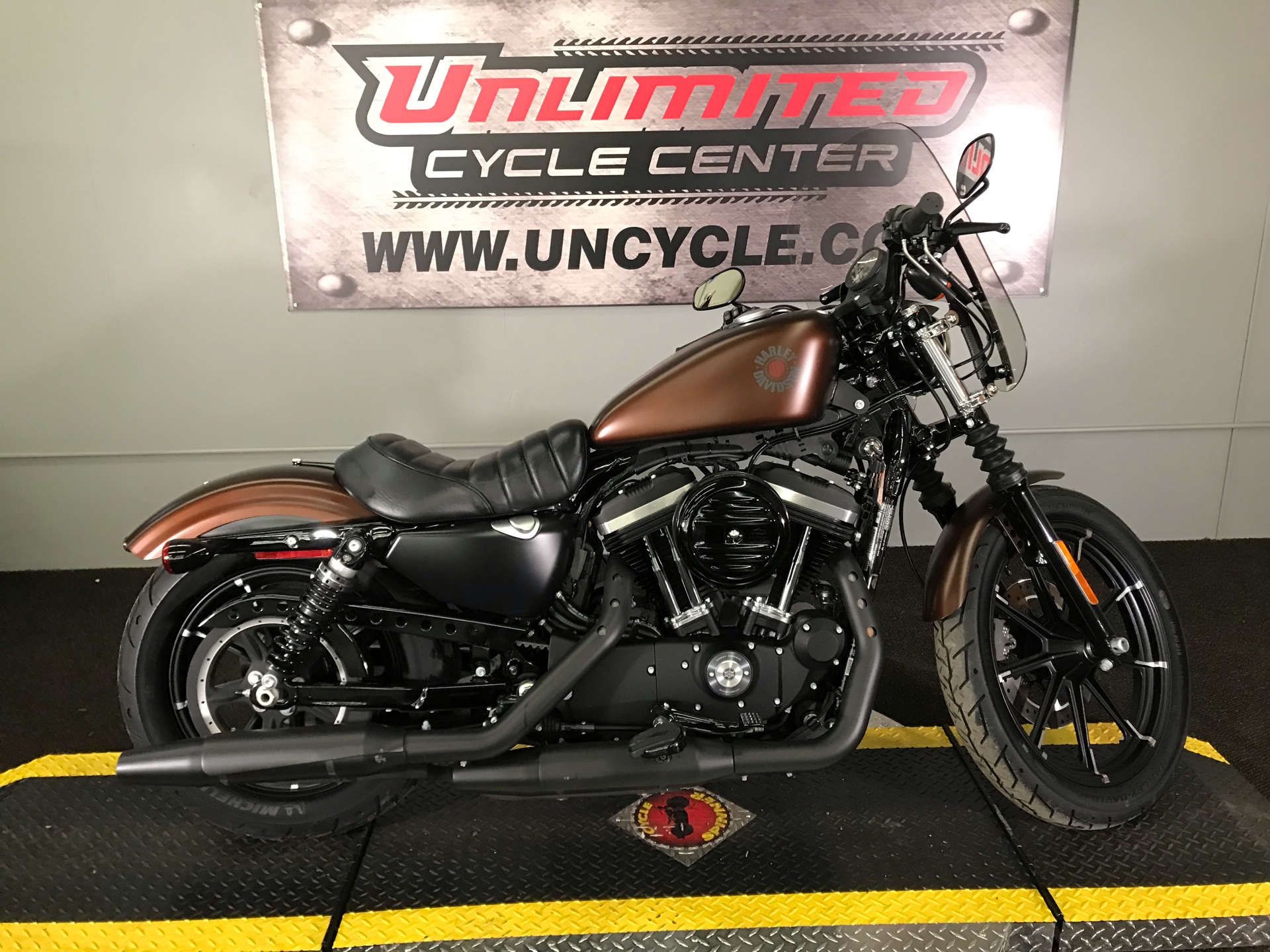 2019 Harley-Davidson Iron 883™ in Tyrone, Pennsylvania - Photo 2