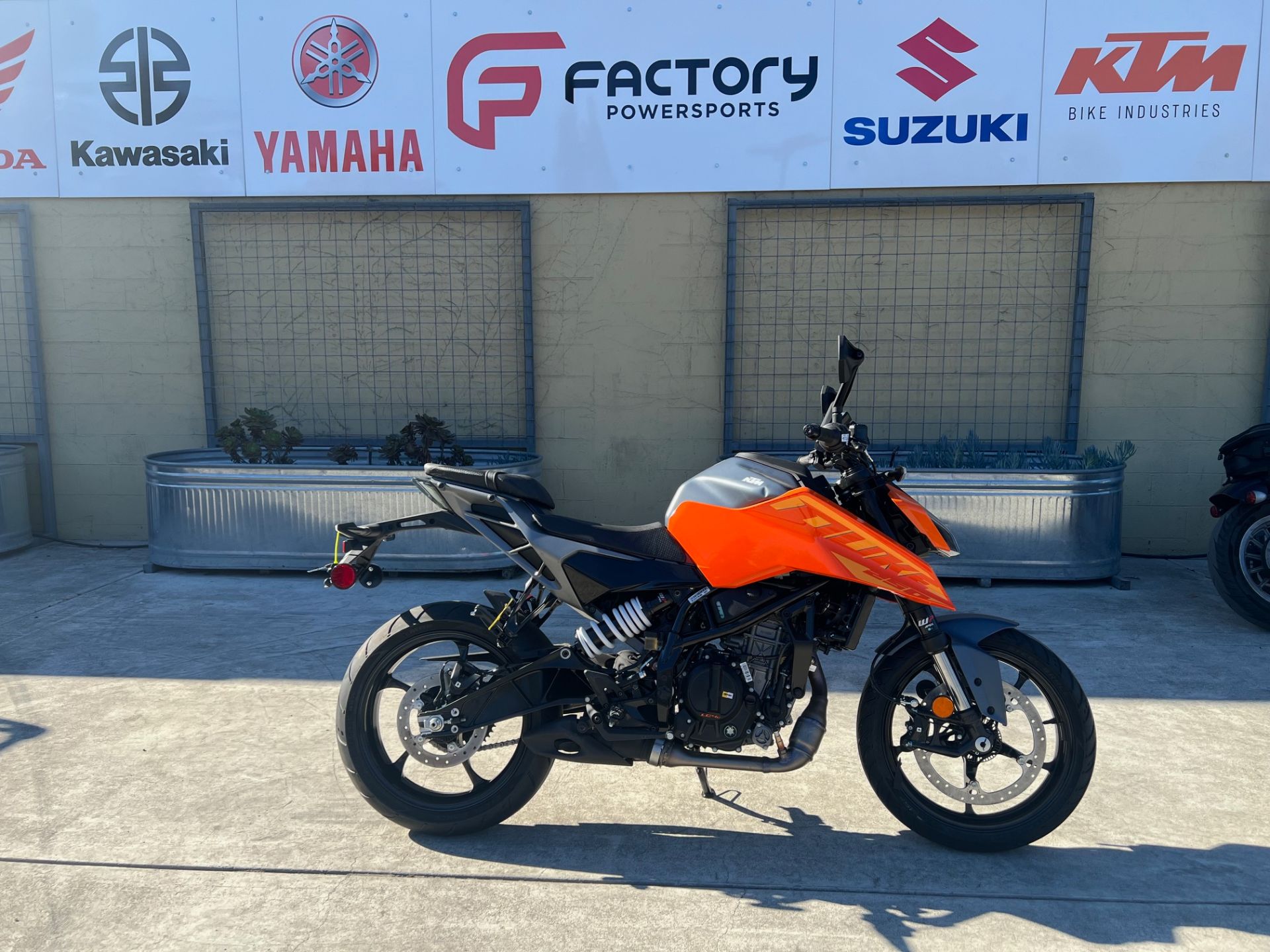 2024 KTM 250 Duke in Santa Rosa, California - Photo 1