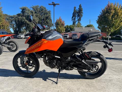 2024 KTM 250 Duke in Santa Rosa, California - Photo 3