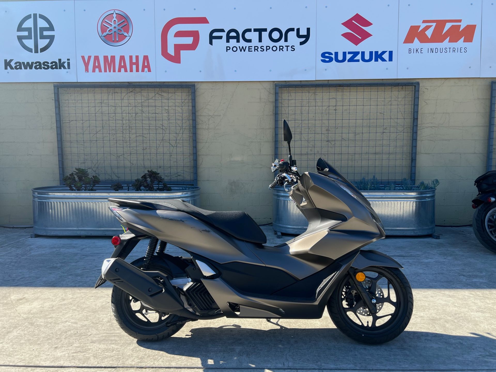 2024 Honda PCX in Santa Rosa, California - Photo 1