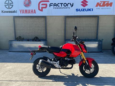 2025 Honda Grom in Santa Rosa, California - Photo 1