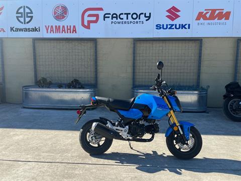 2025 Honda Grom in Santa Rosa, California - Photo 1