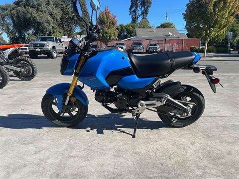 2025 Honda Grom in Santa Rosa, California - Photo 3