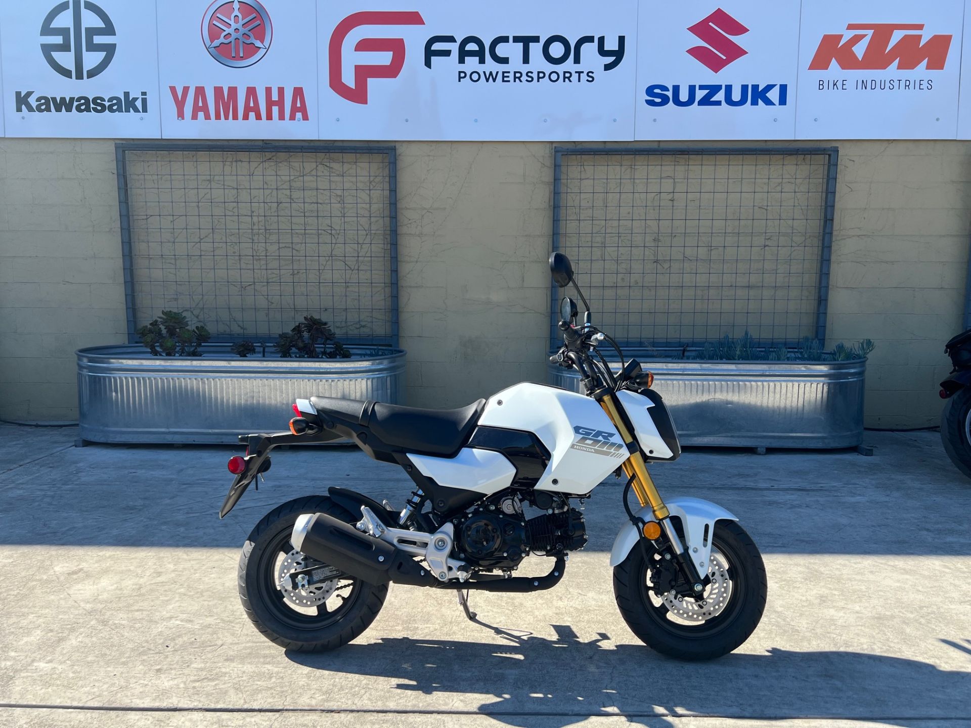 2025 Honda Grom in Santa Rosa, California - Photo 1