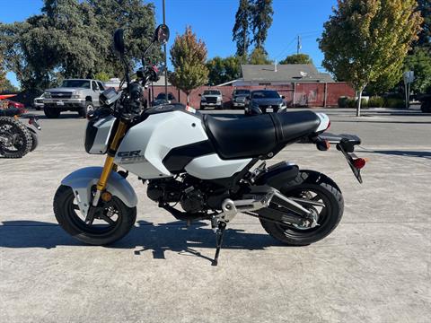 2025 Honda Grom in Santa Rosa, California - Photo 3