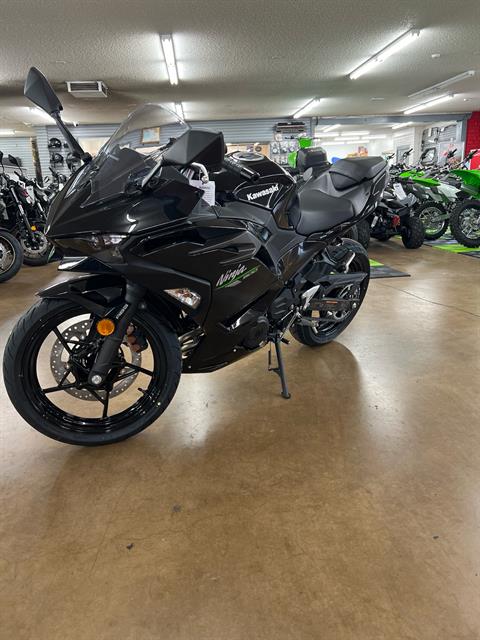 2024 Kawasaki Ninja 500 ABS in Redding, California - Photo 2